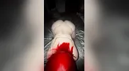 Happy New Year, Asian Teen Girl Fucked in Doggy Style with Creampie the End