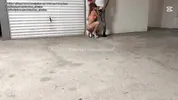 STRANGER CHALLENGE - I suck and fuck strangers in a parking lot while my cuckold films me
