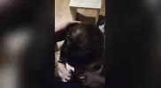 Homewrecker Sucks Fucks and takes Facial in the Wedding Dress his Wife wore