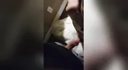 Homewrecker Sucks Fucks and takes Facial in the Wedding Dress his Wife wore