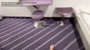 VLOG CORSE - I get my tight little pussy filled in the ferry cabin