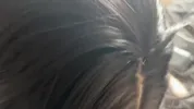 Cute Witchy Gf Gives Me Greatest Blowjob & Gets Lots of Cum In Her Mouth POV