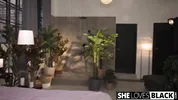 Asian Hottie Lia Lin Cant Get Enough Of Big Black Dick
