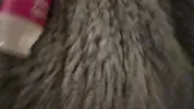 Petite Slut Begging for Creampie