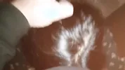 Paki Randi bhabi k mu men lun dia