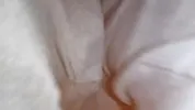 Paki Randi bhabi k mu men lun dia