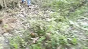 Busty and big-ass stepmother fucks perverted old man