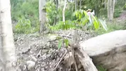 Busty and big-ass stepmother fucks perverted old man