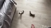 Stepfather Was Shocked When He Returned Home