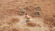 Great Outdoors feat. Leo Vice
