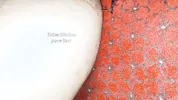 Desi pathani pregnant wife big pussy licking and fucking.