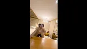Real Passionate Sex with Hot Pinay