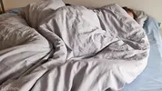 Morning sex: wife’s wet pussy wakes up to hard dick and cumshot