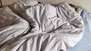 Morning sex: wife’s wet pussy wakes up to hard dick and cumshot