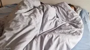 Morning sex: wife’s wet pussy wakes up to hard dick and cumshot
