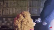 Dina's Cumpilation: Part 2
