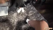 "Please Leave My Bf Alone" I Fucked my boyfriend’s big dick Bully