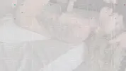 Amateur best homemade porn
