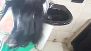 Schoolgirl fucking in the bathroom
