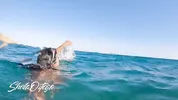 Sheila Ortega Sucking & Fucking me underwater meanwhile snorkeling