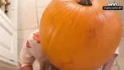 Pumpkin Gloryhole Suprise for my Stepsister Frances Bentley - BJ & riding til I cum deep inside