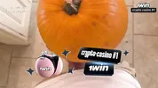 Pumpkin Gloryhole Suprise for my Stepsister Frances Bentley - BJ & riding til I cum deep inside