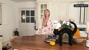 Pumpkin Gloryhole Suprise for my Stepsister Frances Bentley - BJ & riding til I cum deep inside