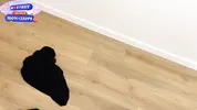 My Hot Step Sister Asked to Teach How to Use Her Condom, I Fucked Very Hard
