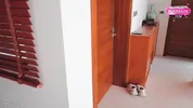 Cheating with the Horny Maid While My Wife Was Out Running Errands