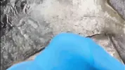 Colombian with a big ass ends up fucking with her best friend on a bike ride.