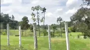 Colombian with a big ass ends up fucking with her best friend on a bike ride.