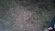 Gave a lot of sperm to a beautiful nymphomaniac in the forest (part 2)