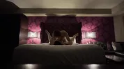 Rough and passionate fuck after a night out