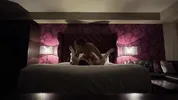 Rough and passionate fuck after a night out