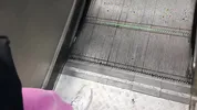 MY BOYFRIEND and I had a QUICKIE in a PUBLIC TOILET during a SCHOOL TRIP