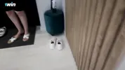 Hot Stepmom Mistakenly Gets Stepson's Cock In Her Tight Pussy. [Scenario: AI]