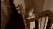 Anal Threesome Between Two Horny Sluts And A Stiff With Big Cock- AssMania