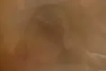 Busty brunette whore fucked in her hairy pussy by a big cock