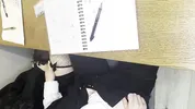 Alt classmate blows me during lesson and begs to fuck her in toilet