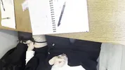 Alt classmate blows me during lesson and begs to fuck her in toilet