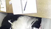 Alt classmate blows me during lesson and begs to fuck her in toilet