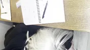 Alt classmate blows me during lesson and begs to fuck her in toilet
