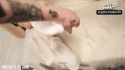 POV: Stuck Stepsister Gets Creampied