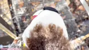 The Build-Up Is Insane: I Followed Him Teasing My Ass with Dirty Talk Until He Couldn't Hold Back