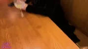 Cheating boss takes surprise facial in pub toilets