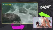 Famous Brazilian actress caught masturbating on the beach