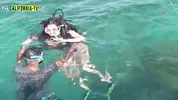 Famous Brazilian actress caught masturbating on the beach