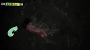 Famous Brazilian actress caught masturbating on the beach