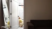 Sharing a bed with my naked stepsis - Cherry Candle