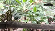 NO WAY! I FUCKED the pretty neighbor I loved and filled her with cum
